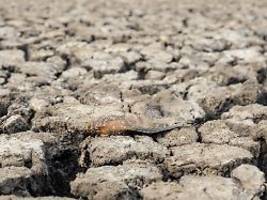 Rückkehr von El Niño möglich: Klimaphänomen könnte in diesem Jahr neue Rekordhitze auslösen